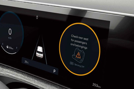Hyundai SANTA FE, Артқы жолаушылар туралы ескерту жүйесі (ROA)